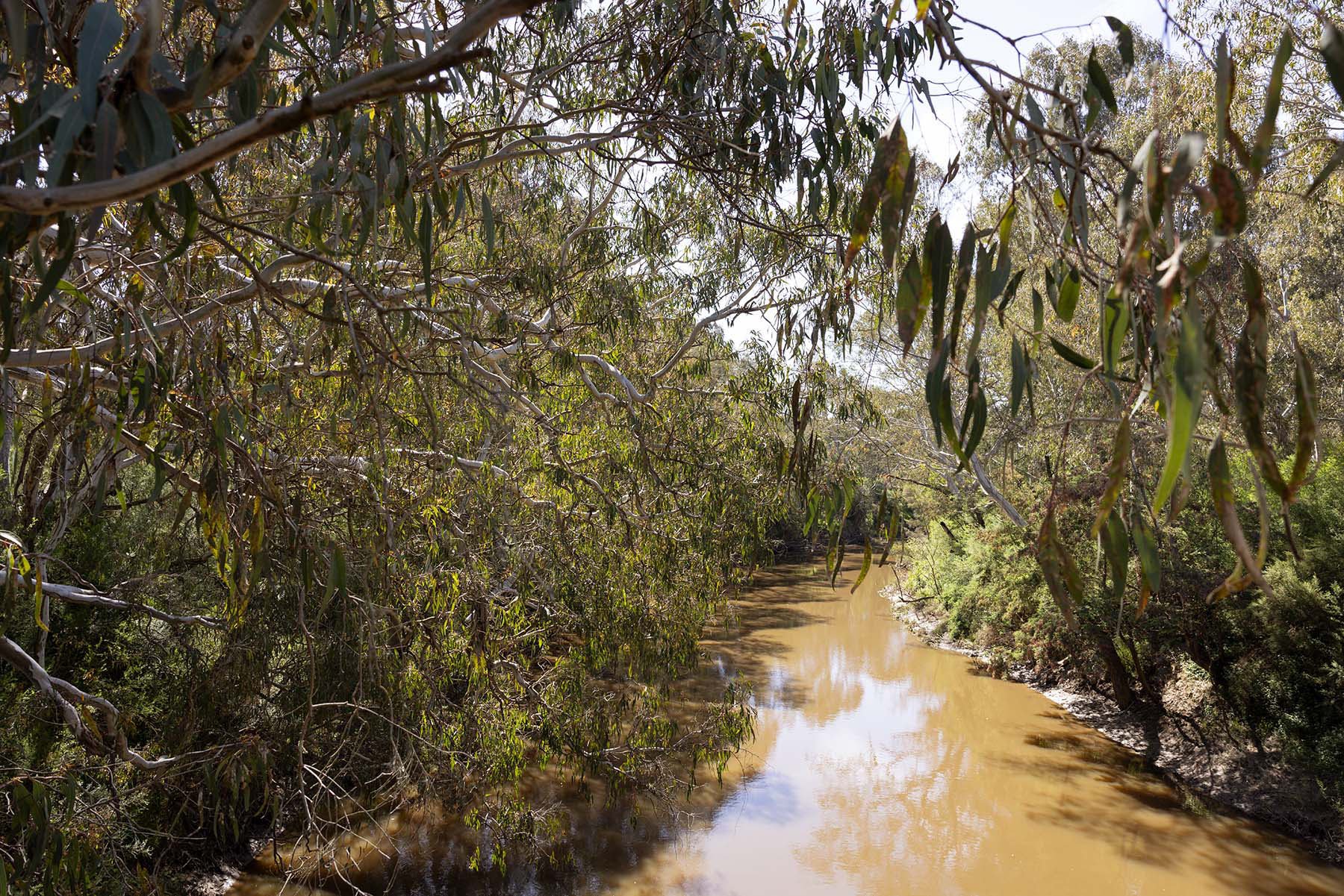 Burke Road Billabong Reserve near St. Francis