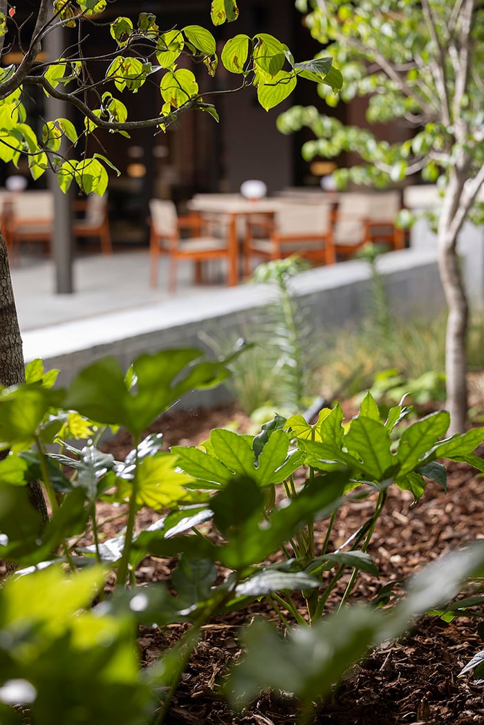 StFrancis garden bed with outdoor furniture in background